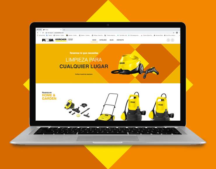 Piatsa - Desarrollo Web